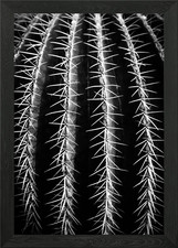 cant touch this Framed Wall